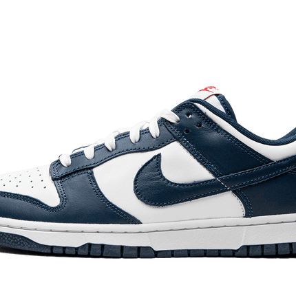 Nike Dunk Low Valerian Blue - FeelTheKicks